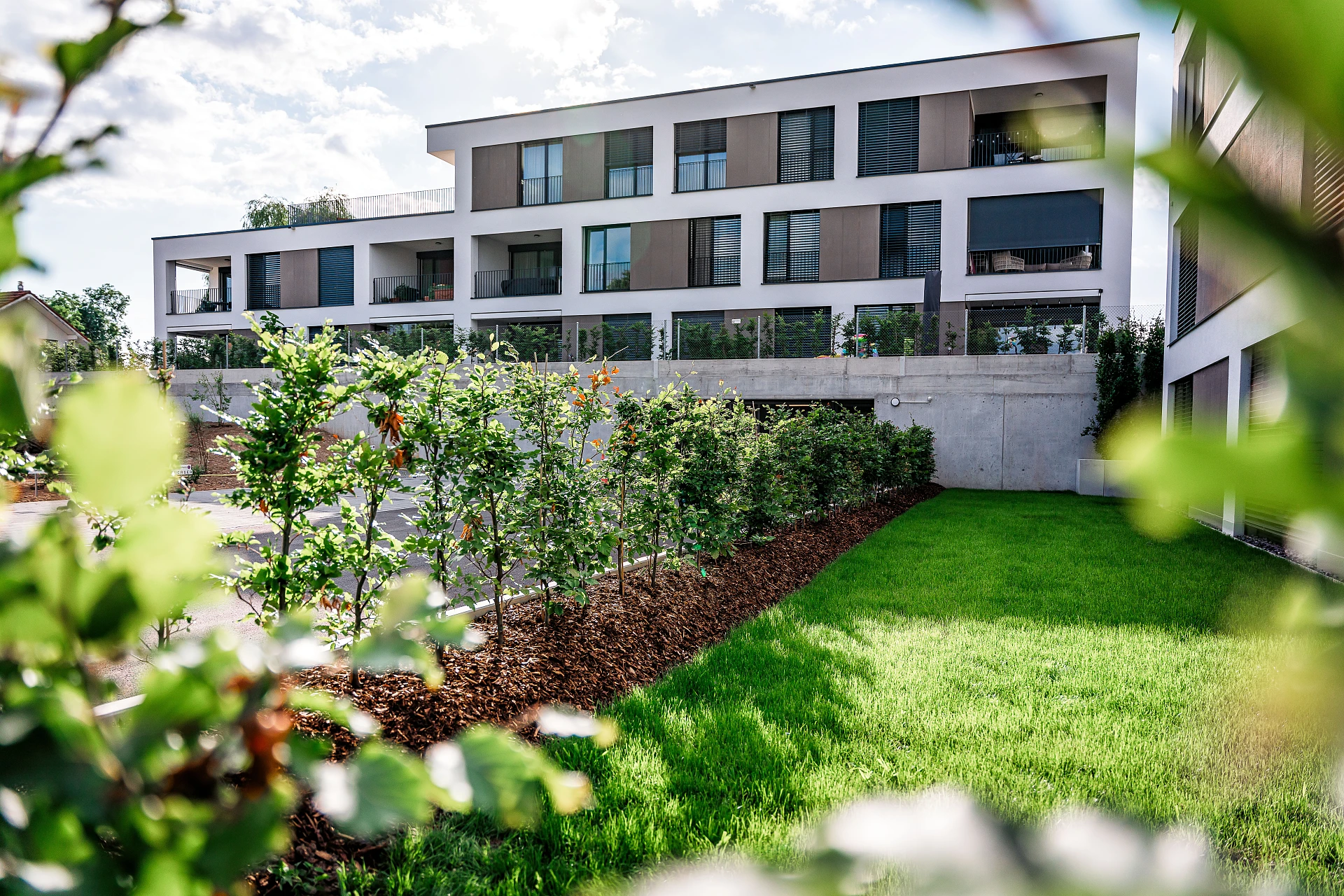 Egger AG und Berger Roman AG_Bayareal_2023_Überbauungen_Mehrfamilienhäuser_Terrassen_Parks- und Grünflächen_Bepflanzung Egger AG und Berger Roman AG_Bayareal_2023_Überbauungen_Mehrfamilienhäuser_Terrassen_Parks- und Grünflächen_Bepflanzung